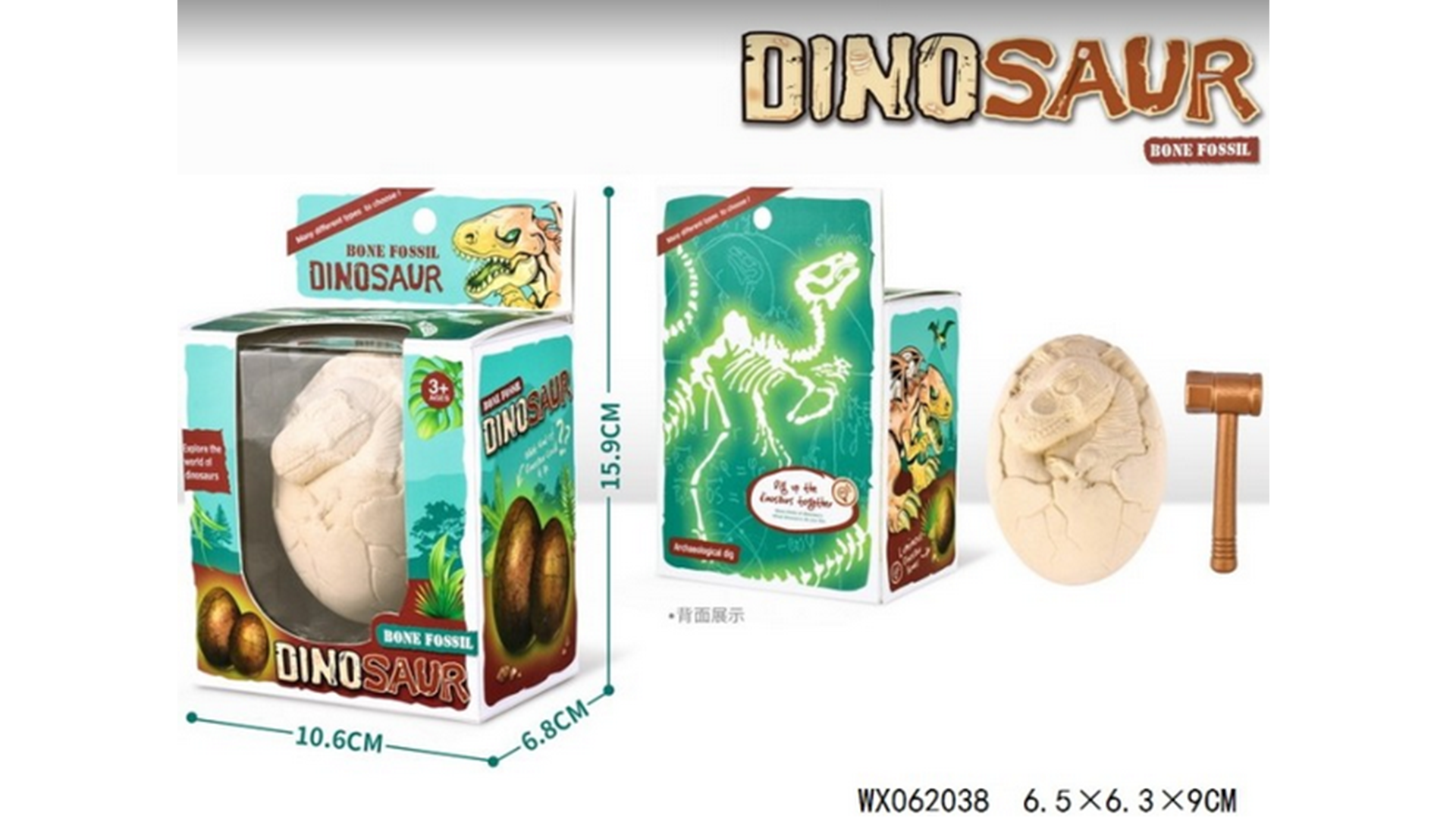 DINOSAUR BONE FOSSIL EXCAVATION